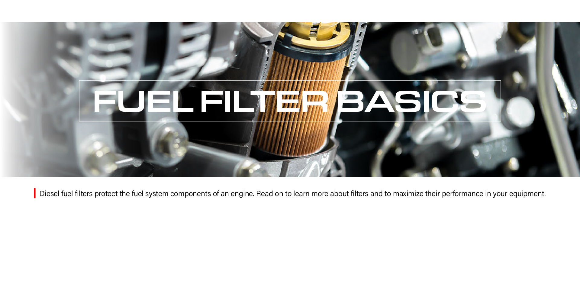 Fuel Filter Basics